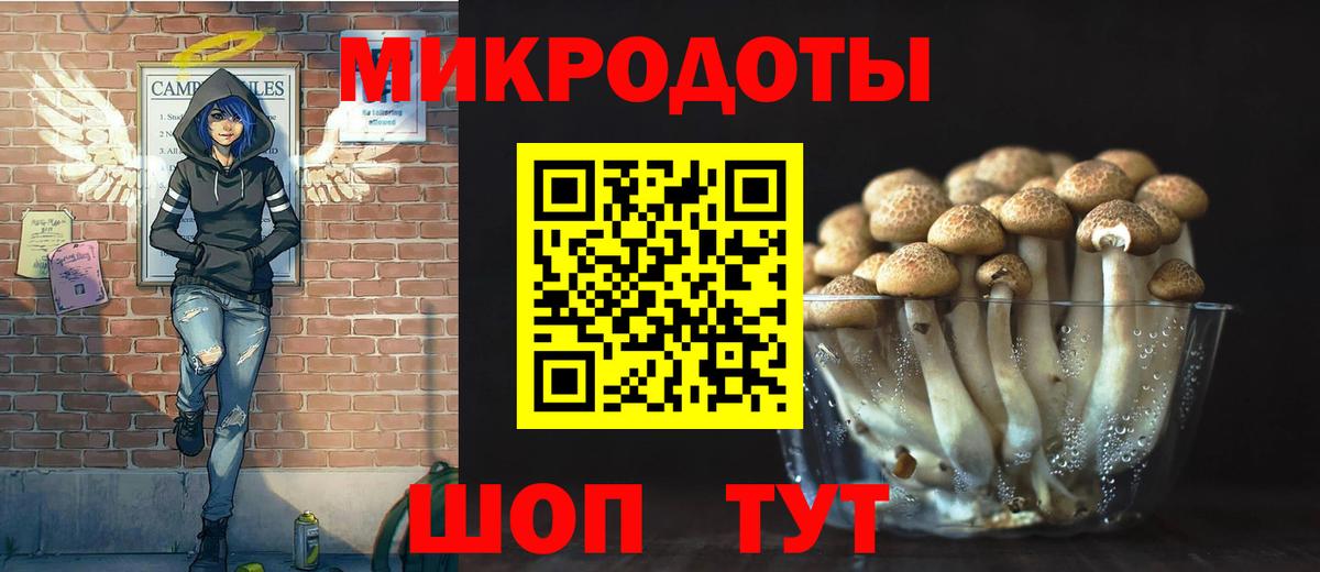 Галлюциногенные грибы Cubensis  Вход с VPN  Шелехов 